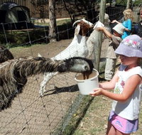 BIG4 Bairnsdale Holiday Park - Holiday Sunshine Coast