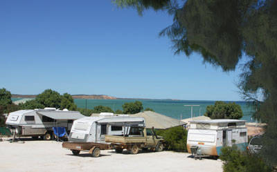 Blue Dolphin Caravan Park & Holiday Village - Sunshine Coast Tourism 0