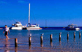 Blue Dolphin Caravan Park & Holiday Village - Sunshine Coast Tourism 4