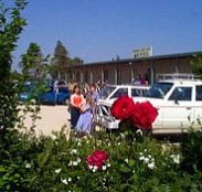 Boerbuck Country Motel  Host Farm - Sunshine Coast Tourism