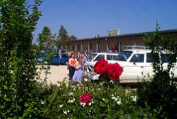 Boerbuck Country Motel & Host Farm - Sunshine Coast Tourism 0