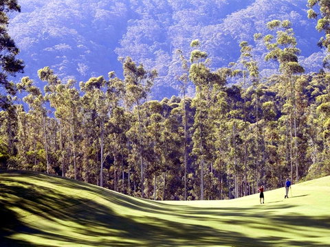 Bonville Golf Resort - Sunshine Coast Tourism 4