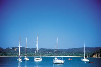 Boydtown Caravan & Camping Park - Holiday Sunshine Coast 2