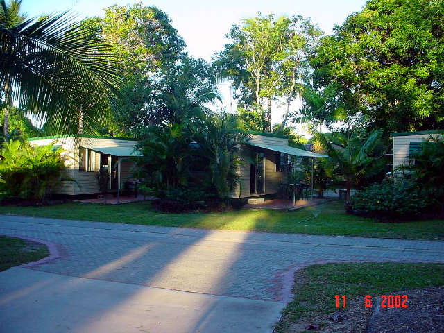 Lumholtz QLD Sunshine Coast Tourism