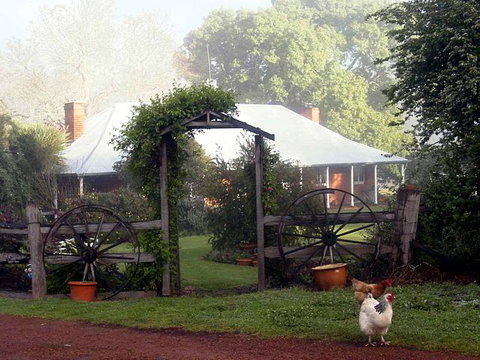 Clover Cottage Country Retreat - Sunshine Coast Tourism 1