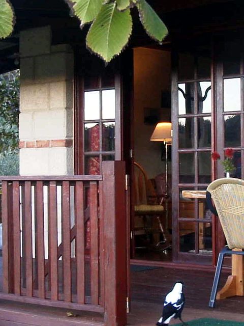 Clover Cottage Country Retreat - Sunshine Coast Tourism 2