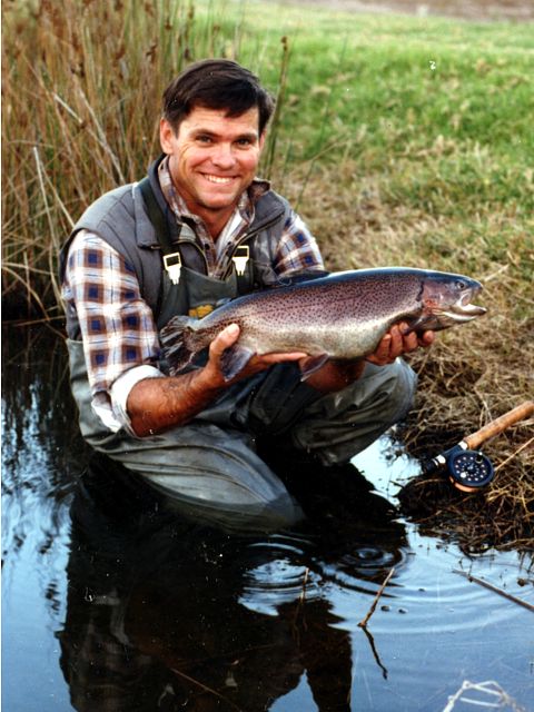 Clover Cottage Country Retreat - Sunshine Coast Tourism 3