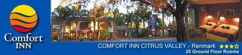 Comfort Inn Citrus Valley - Sunshine Coast Tourism 2