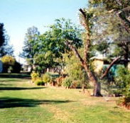 Condamine River Caravan Park - Sunshine Coast Tourism