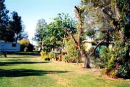 Condamine River Caravan Park - Holiday Sunshine Coast 0