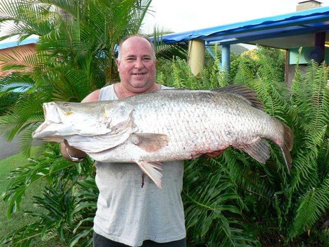 Conway Beach Tourist Park Whitsunday - Sunshine Coast Tourism 4