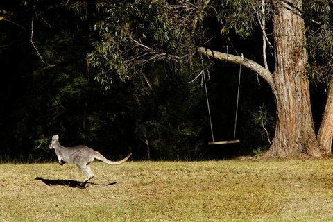 Cottages On Mount View - Sunshine Coast Tourism 1