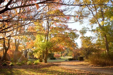 Cowra Crest Motel - Holiday Sunshine Coast 2