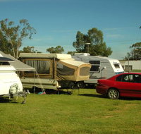 Crocodile Caravan Park - Sunshine Coast Tourism