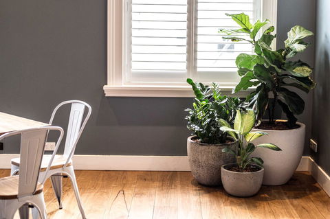 Crown Hotel - Holiday Sunshine Coast 6