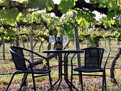 De Vine Escape - Sunshine Coast Tourism 4