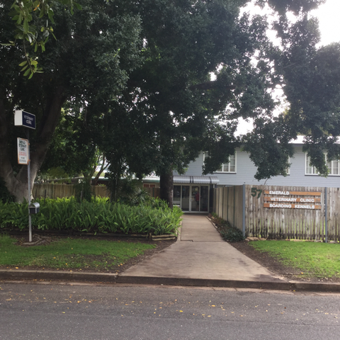 Emerald Veterinary Surgery, Boarding Kennel & Cattery - Holiday Sunshine Coast 0