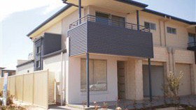 Summernightz - Sunshine Coast Tourism 0