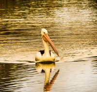 River Shack Rentals - Brenda Park - Sunshine Coast Tourism