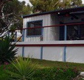 Seagulls Wrest Point - Sunshine Coast Tourism