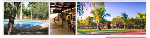 Lazy Lizard Tavern & Caravan Park - Holiday Sunshine Coast 5