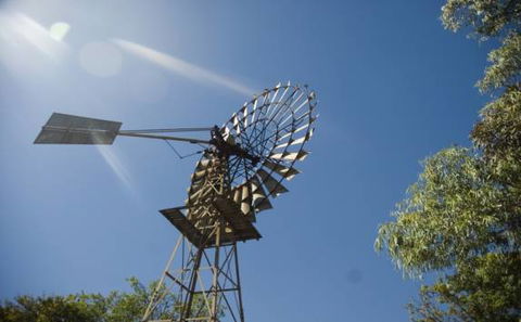 Lazy Lizard Tavern & Caravan Park - Holiday Sunshine Coast 7