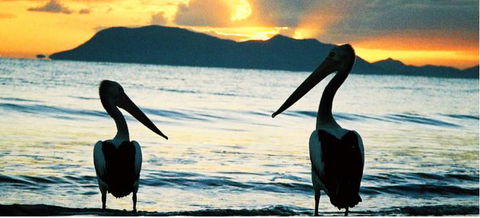 Cairns Beaches Affordable Holiday Accommodation - Sunshine Coast Tourism 4