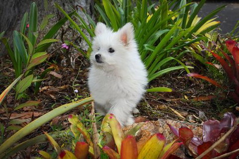 Mapleton Cabins & Caravan Park - Sunshine Coast Tourism 2