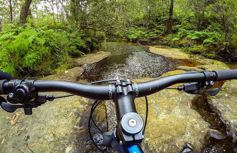 Art House Accommodation - Sunshine Coast Tourism 1