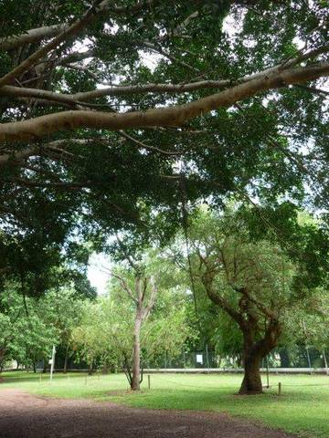 Discovery Holiday Parks - Darwin - Sunshine Coast Tourism 10