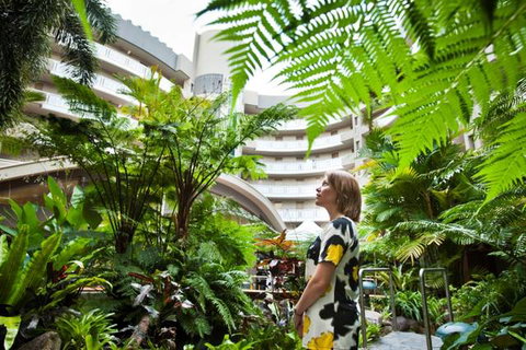 Double Tree - Sunshine Coast Tourism 3