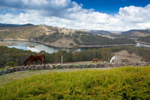 Eagle View Escape - Holiday Sunshine Coast 0