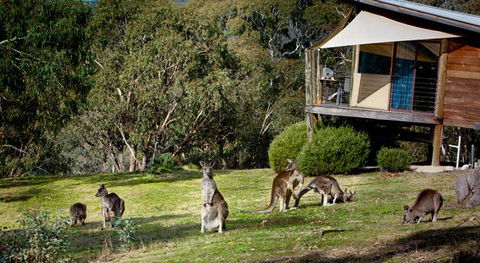 Eagle View Escape - Holiday Sunshine Coast 3
