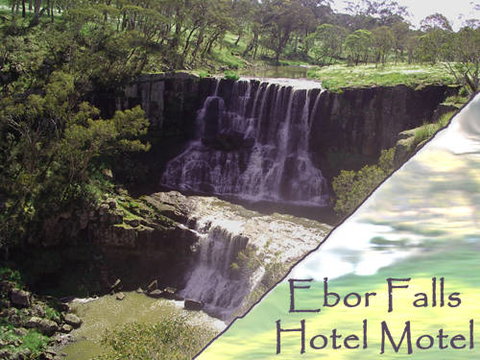 Ebor Falls Hotel Motel - Sunshine Coast Tourism 4