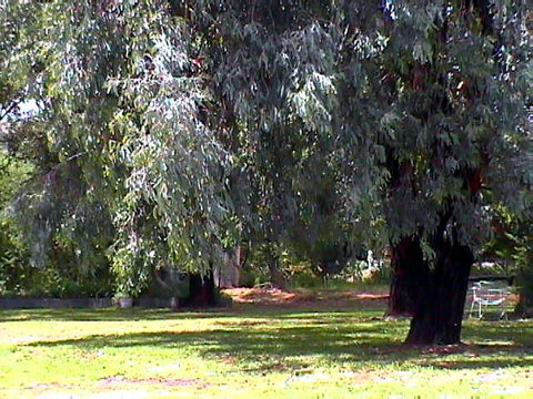 El Paso Motel - Sunshine Coast Tourism 3