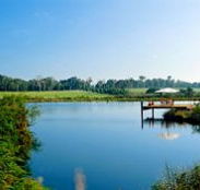 Forest Rise Eco Retreat - Holiday Sunshine Coast