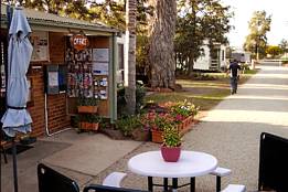 Griffith Caravan Village - Sunshine Coast Tourism 1