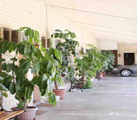 Gunsynd Motor Inn - Sunshine Coast Tourism 1