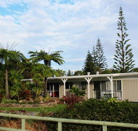 Hibiscus Regal - Sunshine Coast Tourism