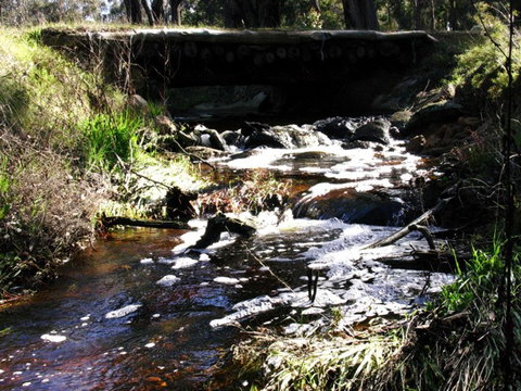 Hidden Grove Retreat - Sunshine Coast Tourism 4