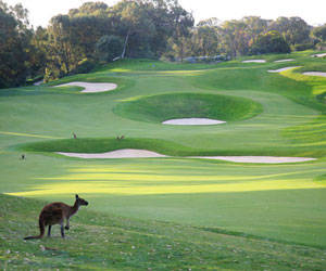 Joondalup Resort - Sunshine Coast Tourism 0