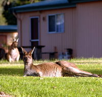Kalgan River Chalets and Caravan Park - Holiday Sunshine Coast