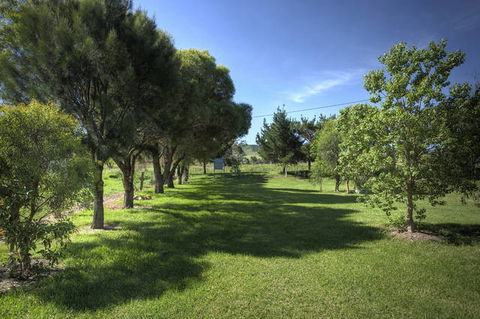 Killarney View Cabins And Caravan Park - Sunshine Coast Tourism 3