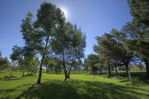 Killarney View Cabins And Caravan Park - Sunshine Coast Tourism 4