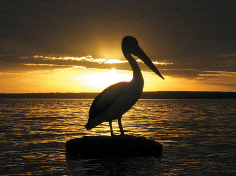 King George Retreat - Sunshine Coast Tourism 1