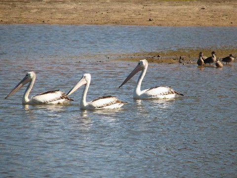 Lakeview Lodge - Sunshine Coast Tourism 2