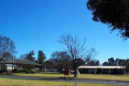 Leeton Caravan Park - Sunshine Coast Tourism 4