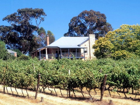 Longview Vineyard - Sunshine Coast Tourism 0