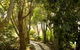 Maleny Terrace Cottages - thumb 2