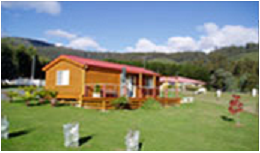 Maydena Country Cabins and Alpacas - Sunshine Coast Tourism